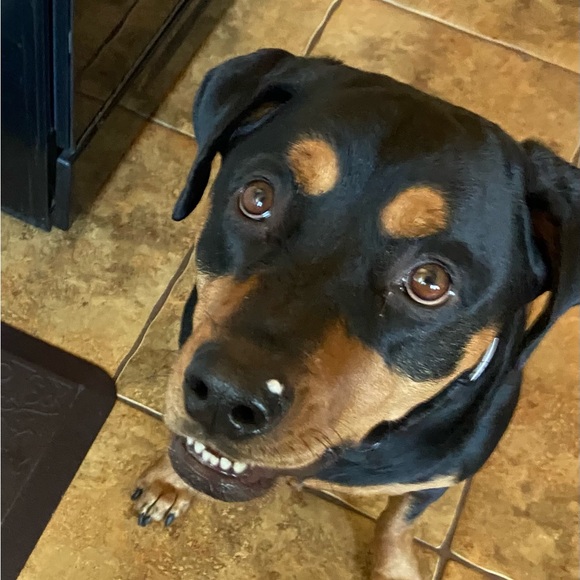 Meet your Posher, Jennifer - Picture 6 of 11